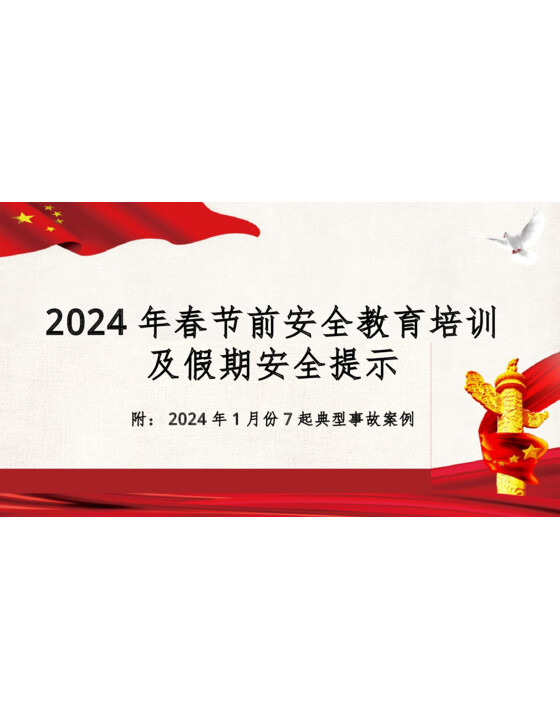 2024年春节节前安全教育（附最新事故案例）189页
