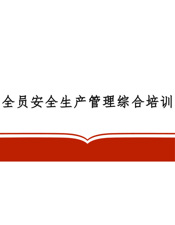 2025全员安全生产管理综合培训（84页）